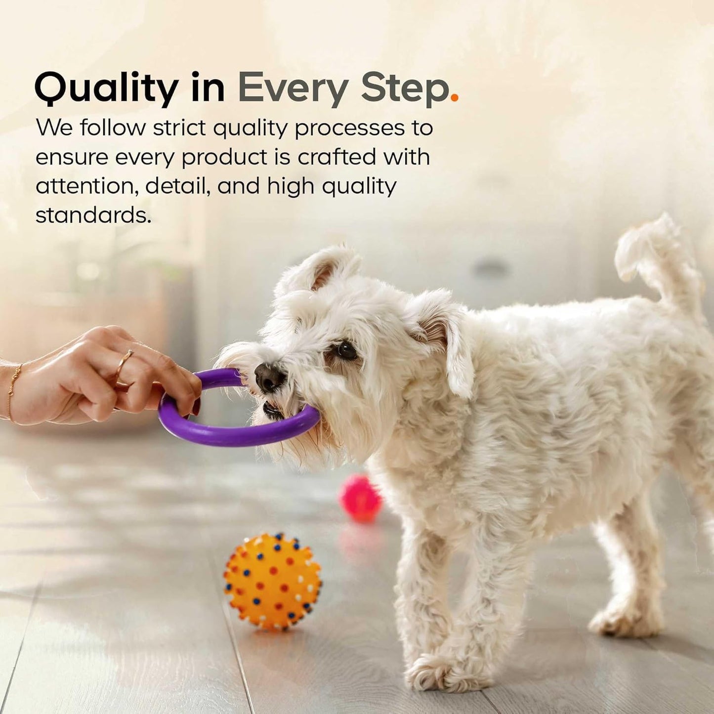 Beef Bone Broth Powder for Dogs Supplement – Grass-Fed Beef with Canine Probiotics (Bacillus coagulans & Bacillus subtilis) - Canine Joint & Gut Wellness Support – All Breeds & Sizes – 3.17 oz