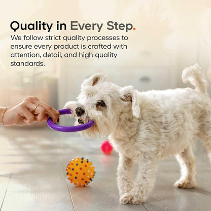 Beef Bone Broth Powder for Dogs Supplement – Grass-Fed Beef with Canine Probiotics (Bacillus coagulans & Bacillus subtilis) - Canine Joint & Gut Wellness Support – All Breeds & Sizes – 3.17 oz