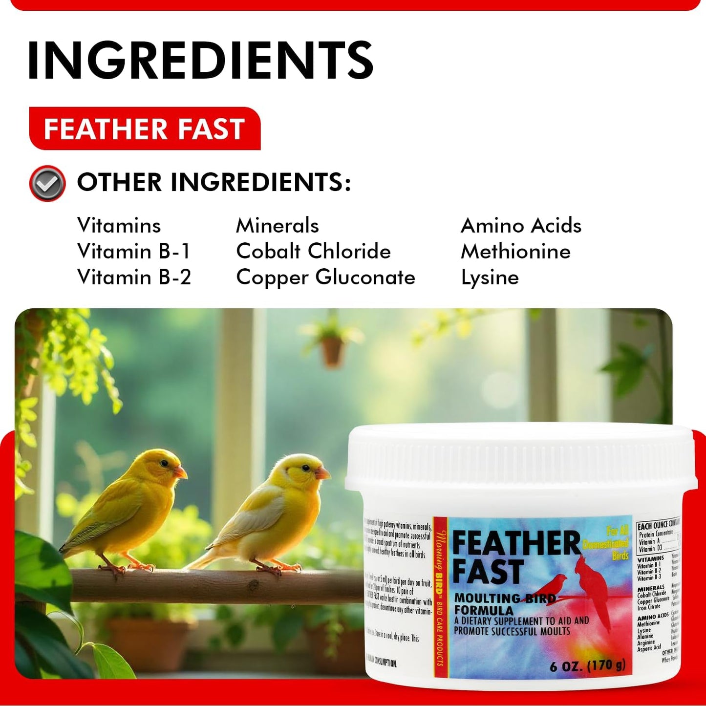 Morning Bird Feather Fast 6 Oz – Multi-Vitamin During Molt - Molting Support Supplement for Birds – Amino Acid & Vitamin Powder Formula– Promotes Feather Growth, and Full Plumage – for All Adult Birds