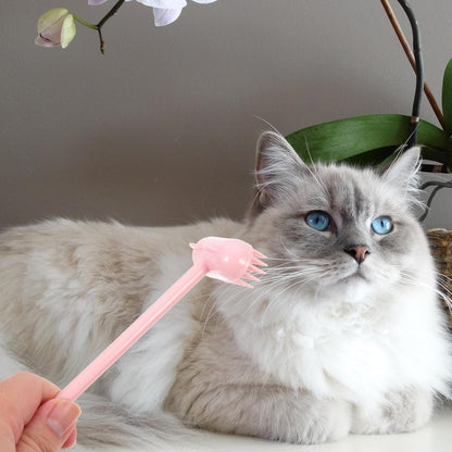 Cat Grooming Brush Pet Massage Brush for Cats and Dogs Hair Removal Soft Compact Rose Grooming Tool for Indoor Use