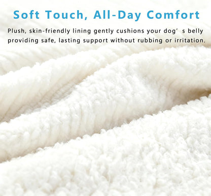 Dual-use Dog Lift Rehab Hareness Canine Sling for Small Pooch Rear Legs and Hip Support,Adjustable and Soft Brace Strap for After ACL Surgery, Helps Senior, Injured and Disabled K9