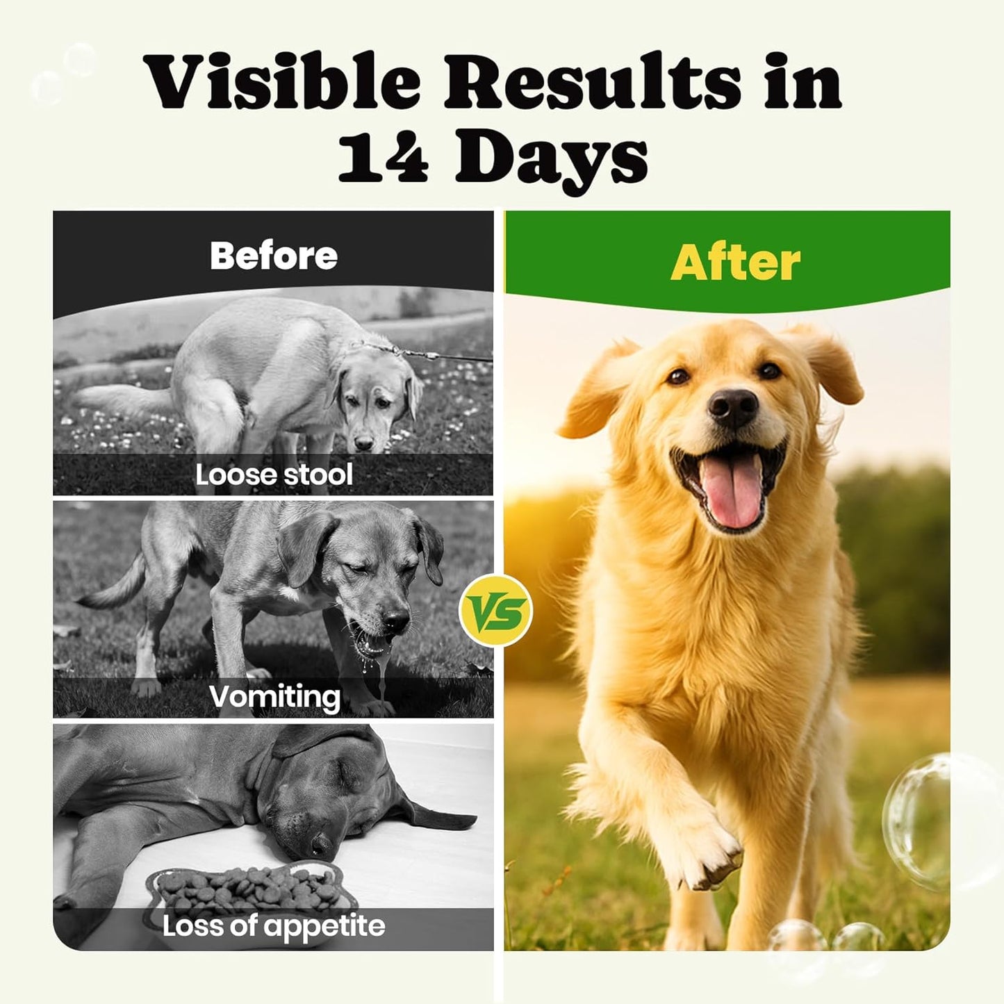 Probiotics for Dogs - Dog Probiotics Powder with 11 Strains, 4 Prebiotics & 5 Enzymes, Pet Probiotic Help Flora Balance, Digestion Health & Gut Support, Diarrhea and Yeast Infection -60 Single Packets