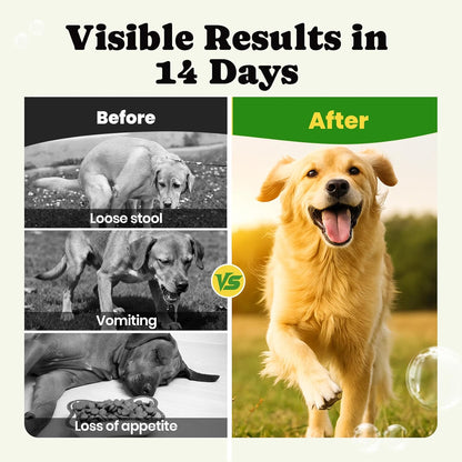 Probiotics for Dogs - Dog Probiotics Powder with 11 Strains, 4 Prebiotics & 5 Enzymes, Pet Probiotic Help Flora Balance, Digestion Health & Gut Support, Diarrhea and Yeast Infection -60 Single Packets