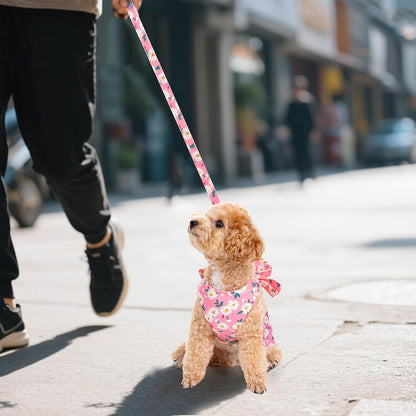 Dog Dress Bowknot Harness and Leash Set Adjustable Puppy Harness Mesh Vest Set Bow Knot Pet Clothes for Small Girl Dog Cat (X-Small, Pink)
