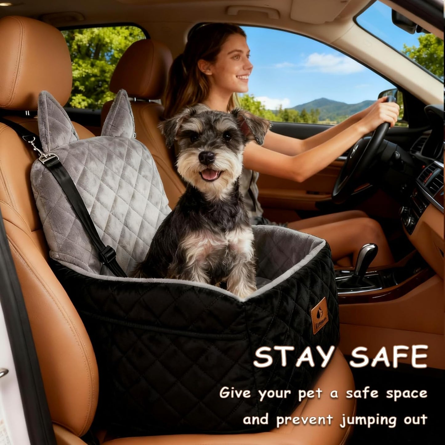 Dog Car Seat for Small & Medium Dogs – 6" Higher Booster Seat with Supportive Memory Foam Cushion, Detachable & Washable Cover, Safe & Comfortable Car Bed for Dogs up to 35 lbs