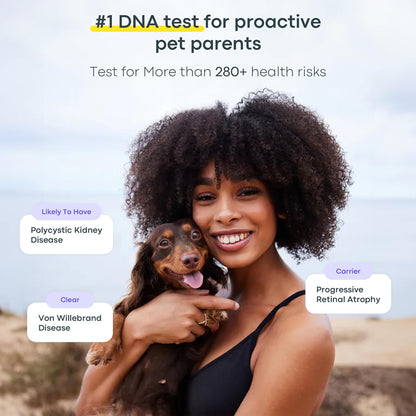 Basepaws Dog DNA Testing Kit - 330+ Breeds, 280+ Health Risks, and 30+ Traits - Comprehensive Mixed Breed Identification, Pet DNA Test kit, Canine Genetic Ancestry and Heritage