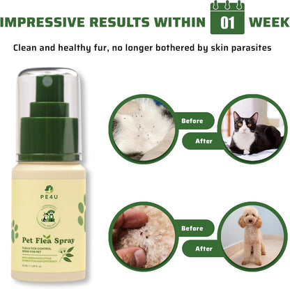 Natural Spray for Dogs & Cats - Itch Relief & Skin Soothing Spray with Eucalyptus Lemon Oil - Safe for Sensitive Skin, Reduces Irritation, Neutralizes Odor, and Protects Skin - [Spray + Shampoo]