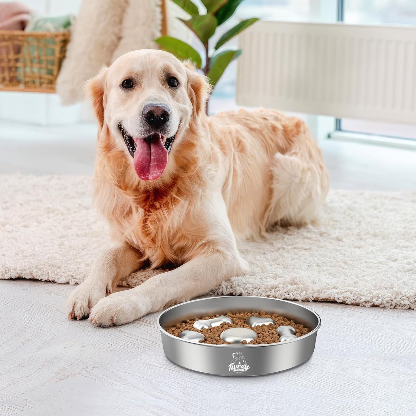 Slow Feeder Dog Bowls, 304 Stainless Steel Slow Feeder Bowl 5 Cups Metal Pet Food Bowl with Non-Slip Base for Medium & Large Breed, Bloat Stop, Dishwasher Safe