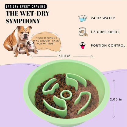 AVERYDAY Slow Feeder Dog Bowl Set with 1 Base and 3 Puzzle Inserts Customizable Design BPA-Free and Dishwasher Safe for Small Medium Large Dogs
