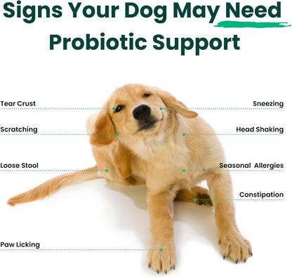 Dog Probiotic and Multivitamin Chews