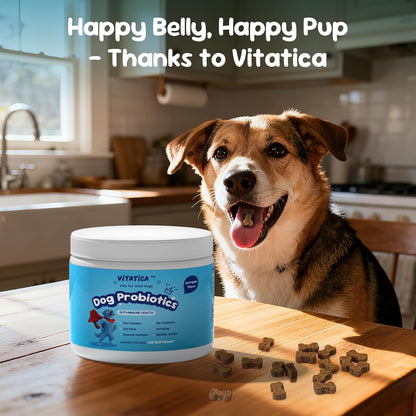 Premium Probiotics for Dogs - All-in-One Daily Supplement | Supports Joint, Heart, Skin, Digestion, Immune System & Liver Health (120 Chews Pumpkin)