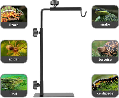 Reptile Lamp Stand, Adjustable 16-31 Inch Domes Heat Lamp Metal Bracket Floor Light Holder for Reptile Terrarium Lighting Heating Light and Dome lampshade, Large