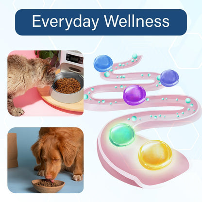 Probiotics for Dogs and Cats, 200 Tablets Pet Multi-Probiotic Supplements, Promotes Digestion and Nutrient Absorption (200 Count)