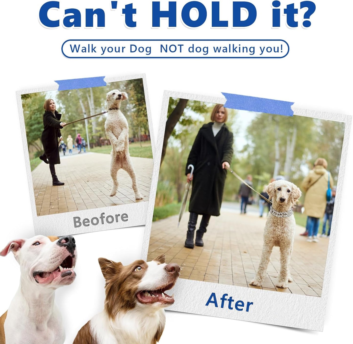 Supet Dog Prong Collar, Adjustable Dog Training Pinch Collar with Quick Release Buckle for Small Medium Large Dogs(Packed with One Extra Links)