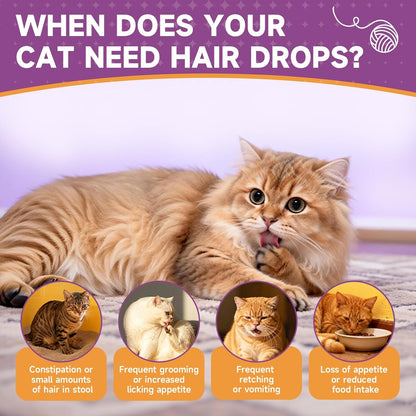 Mushroom for Dogs & Cats, Support Immune System, Digestion, Skin & Coat, Cat Hairball Remedy - Kitten Furball Treatment
