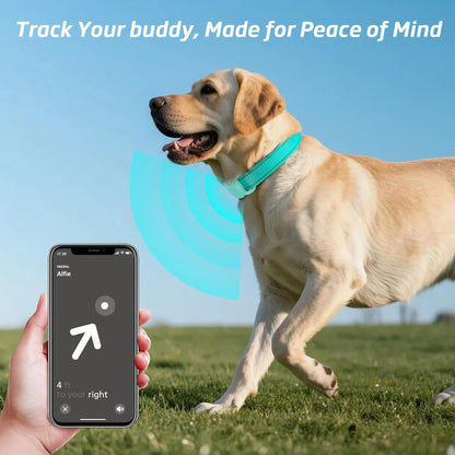 Airtag Dog Collar with Air Tag Holder, Adjustable Reflective Pet Collar with Soft Padding,Durable Nylon Collar for Tiny Small Medium Dogs, Easy Install Design (Turquoise Blue,S)