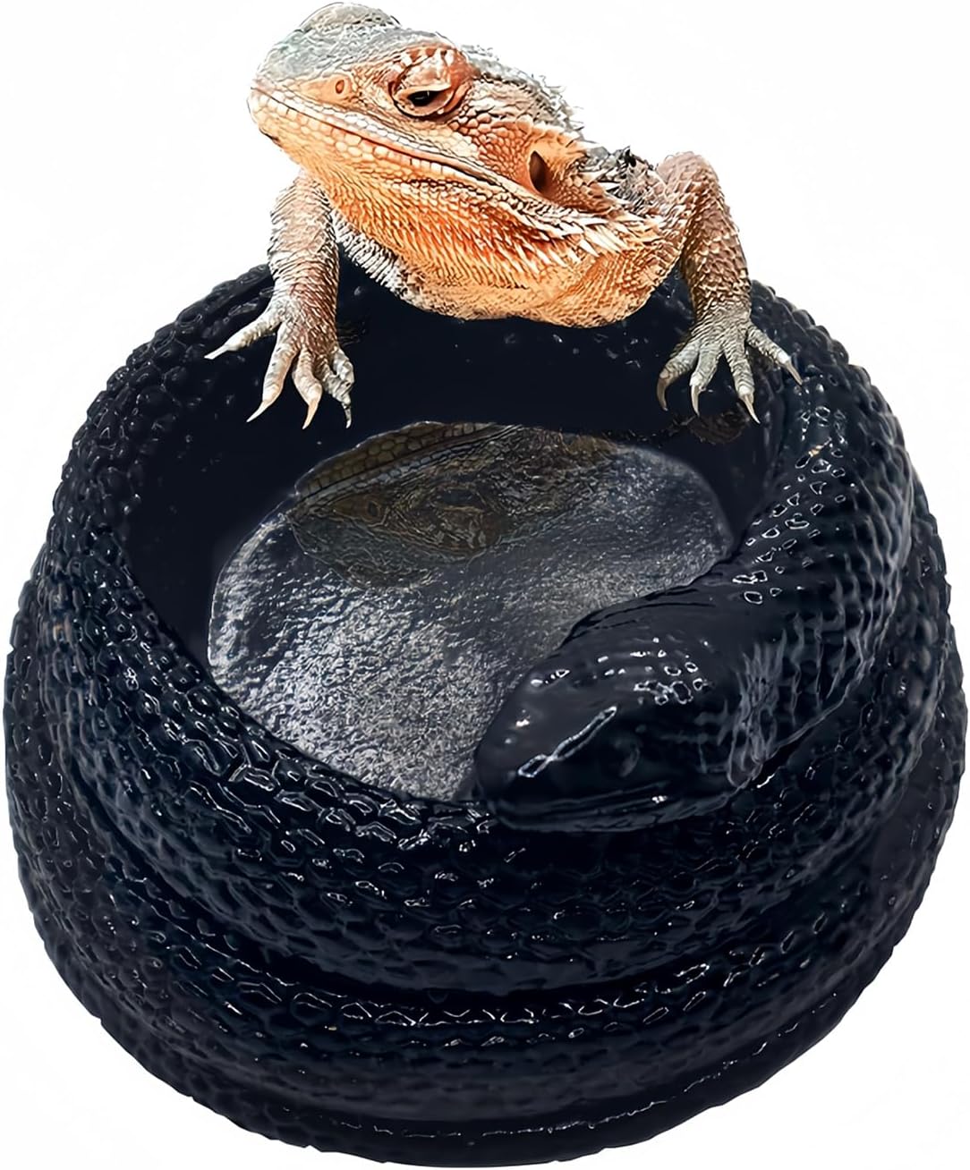 Snake-Shaped Reptile Water Dish & Food Bowl - Small Resin Terrarium Bowl for Bearded Dragon, Leopard Gecko, Hermit Crab, Tortoise, Frog, Lizard, Snake Habitat Tank Accessories