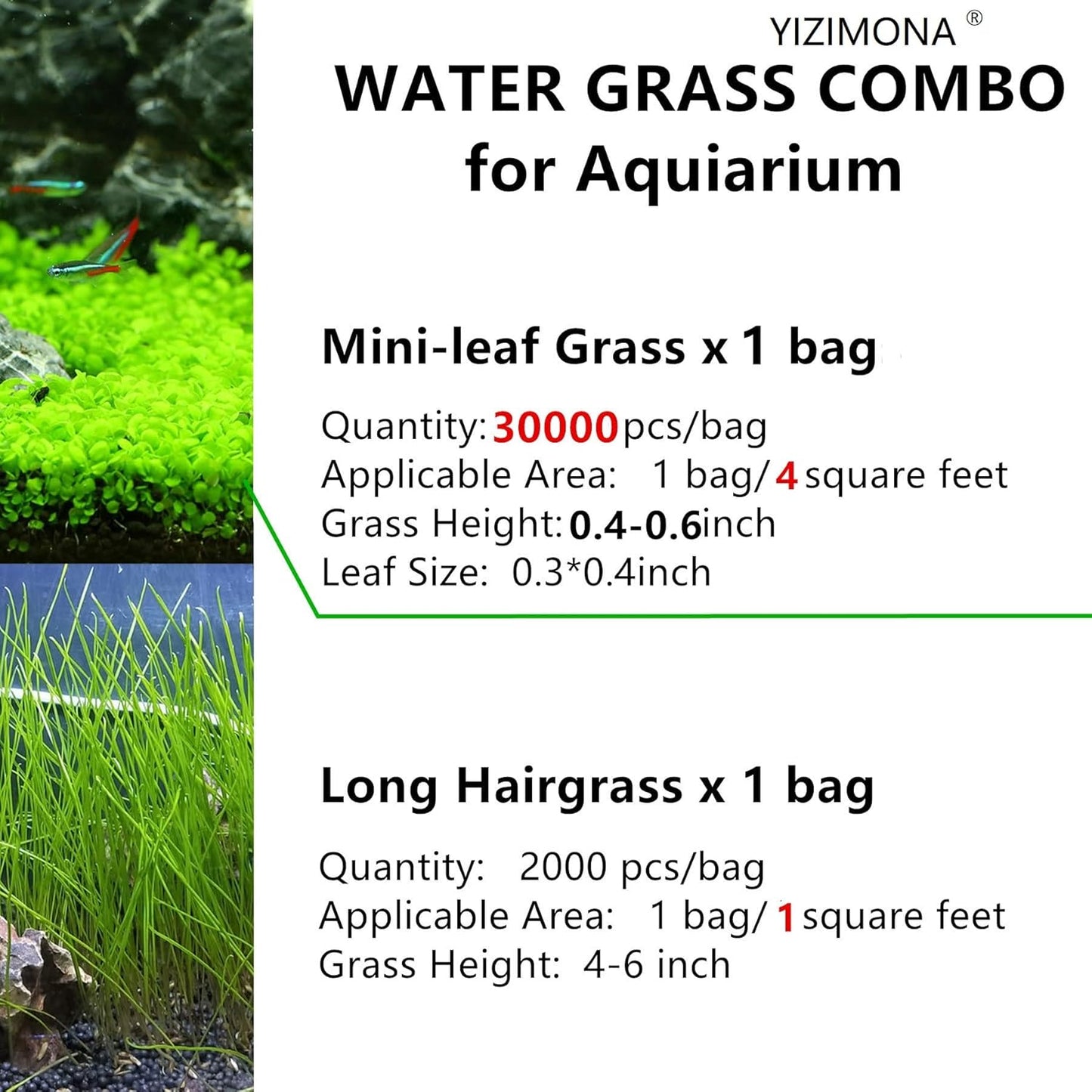 Aquarium Plant S.e,e,ds. not Fish Tank Aritificial Plastic Plant,10gram Mini-Leaf+8grame Long Hair Grass Fresh Water Carpet Decor