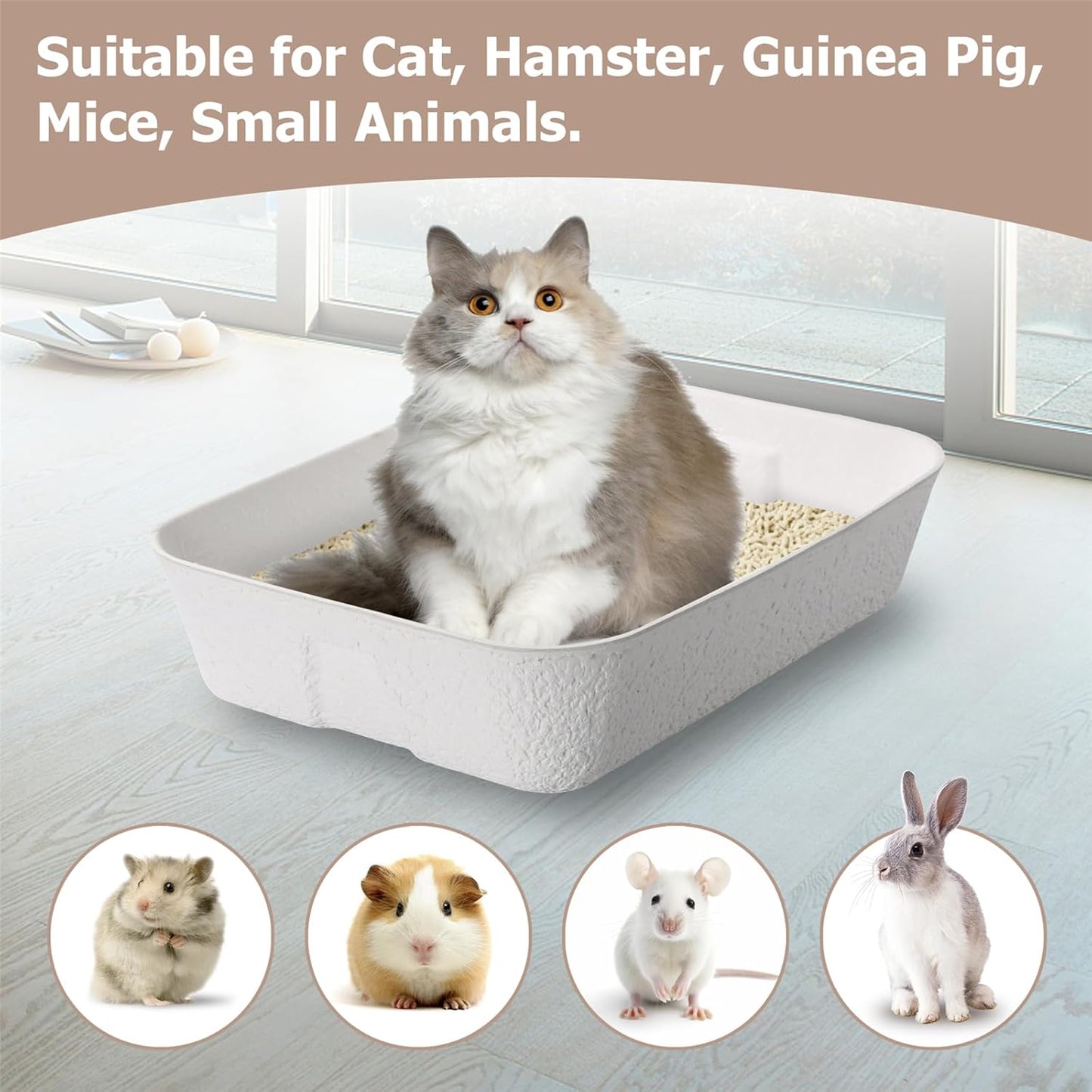 Disposable Cat Litter Box, Sturdy and Durable, Extra Thick, Large Size - 16.2"x12.6"x3.9", Water Resistant and Sustainable, Disposable Litter Boxes for Cats (White, 10-Pack)
