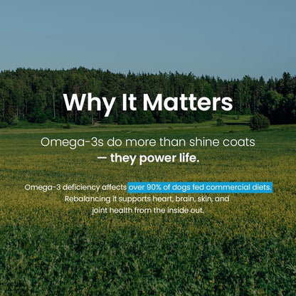 Norwegian Omega 3 for Dogs – Human Grade Fish Oil with IFOS 5-Star, Maximum Absorption, Patented, Vet Approved, Supports Skin & Coat, Joints, Heart & Brain, Individually Sealed Sachets