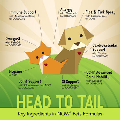 NOW Pet Health, Cardiovascular Support Supplement, Formulated for Cats & Dogs, NASC Certified, Powder, 4.5-Ounce