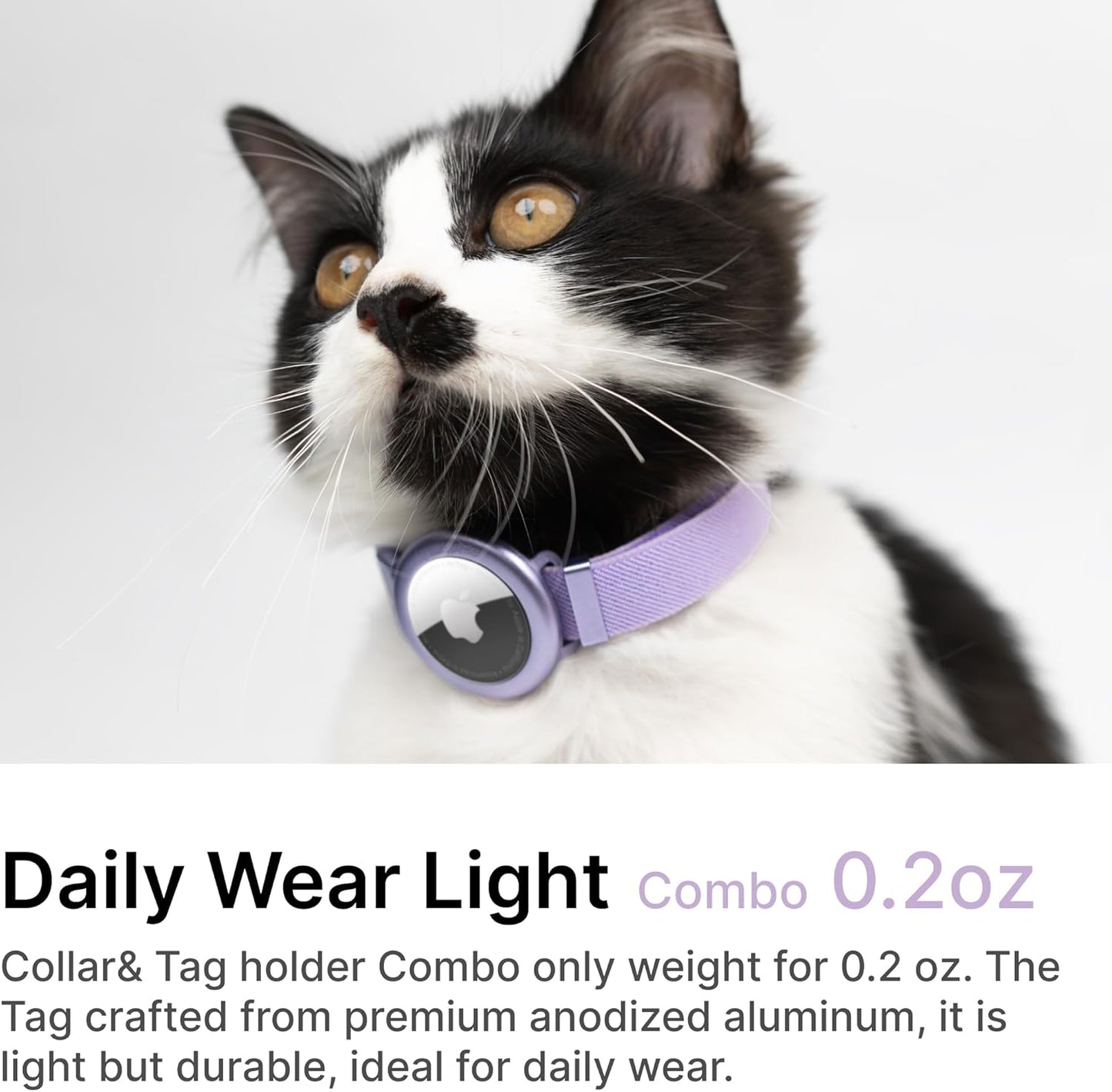 Cat Airtag Collar, US IDA Gold Award Cat Safety Collar Non Breakaway Elastic Airtag Collar Lightweight Airtag Holder Anodized Aluminium Case for Kitten Small to Large Cats,S(Gold Champagne)