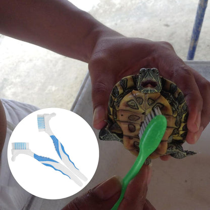 2Pcs Multi-Functional Small Turtle Shell Cleaning Brush Dirt Remover for Tortoise Mud Removal Household Mini Cleaner for Reptile Health Supplies
