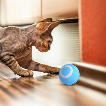 Interactive Cat Ball Toy, cat toy ball roller, Active Rolling Ball for Dogs, Bouncing Rolling Ball, Activated Rolling Ball, 360 Degree Rotating Ball, USB Charging Pet Toy for cats