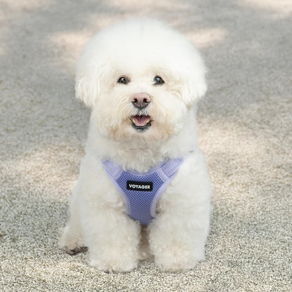 Best Pet Supplies Voyager Mesh Dog Breathable Harness Reflective Stitching, All Weather Adjustable for Walking Training, or Running - Heavy Duty & Durable, Harness (Lavender), S