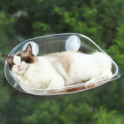 Cat Wall Shelf Furniture for Sleeping - Transparent Hammock Bed with Suction Cups, Spatial Rescue of Pet Lounger | Raised Cat Rest for Climbing and Playing | Floating Furniture