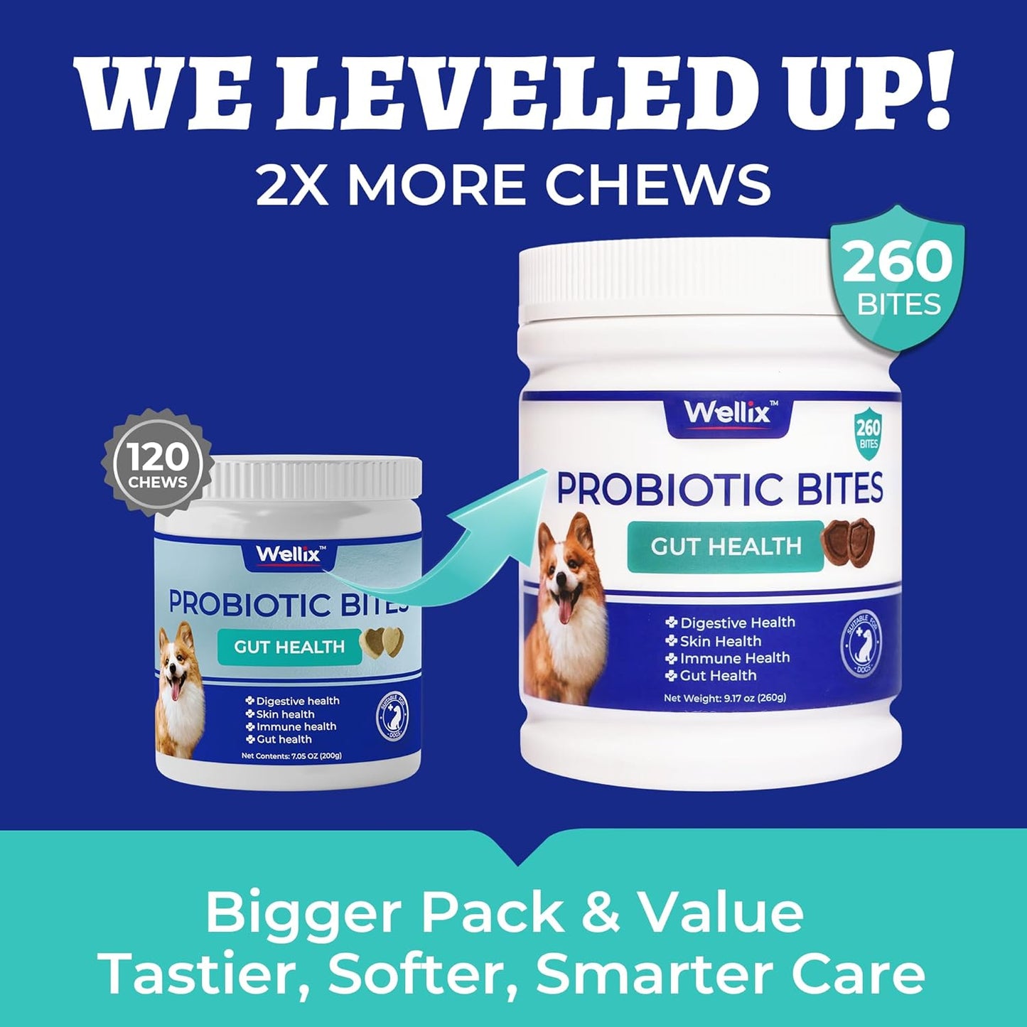 260 Bites Wellix Probiotics for Dogs - Dog Probiotics and Prebiotics with Pumkin - Improve Digestive Health, Allergies and Itchy Skin Relief Natural Gut Health Supplements for Small Medium Senior Dog