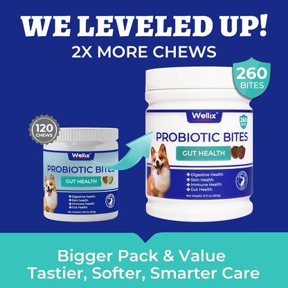 260 Bites Wellix Probiotics for Dogs - Dog Probiotics and Prebiotics with Pumkin - Improve Digestive Health, Allergies and Itchy Skin Relief Natural Gut Health Supplements for Small Medium Senior Dog