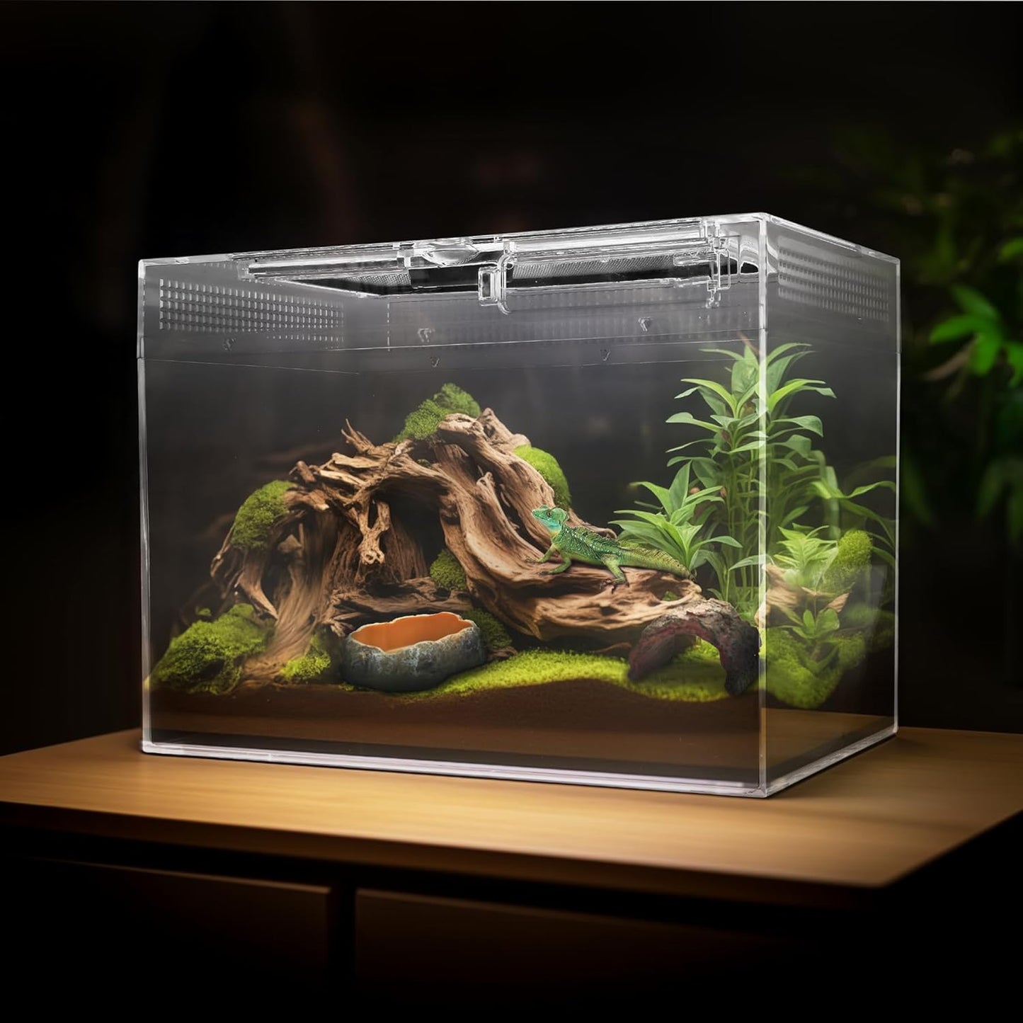 AZV Small Habitat Terrarium Enclosure, and Large Reptile Terrarium,Reptile Tank 15x8x10in Amphibian Isopod Tank Starter Kit with Bearded Dragon Hammock,Heat Lamp,Hide Cave for Geckos Lizard