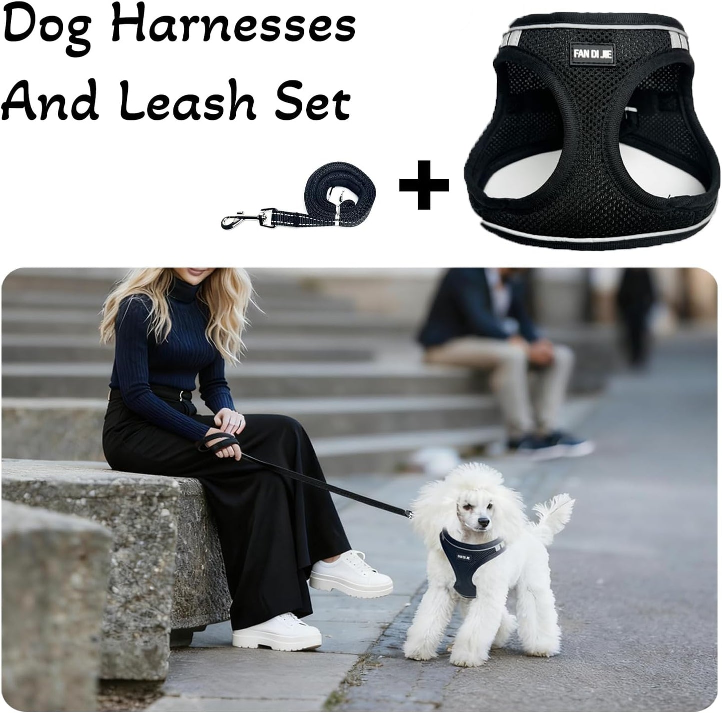 Dog Harness and Leash Set, No Pull Soft Mesh Pet Harness -in Puppy Pet Vest Harnesses for XS,Small,Medium Dogs and Cats Black-M