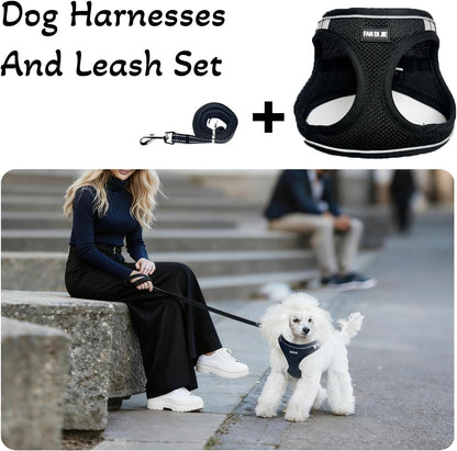 Dog Harness and Leash Set, No Pull Soft Mesh Pet Harness -in Puppy Pet Vest Harnesses for XS,Small,Medium Dogs and Cats Black-M