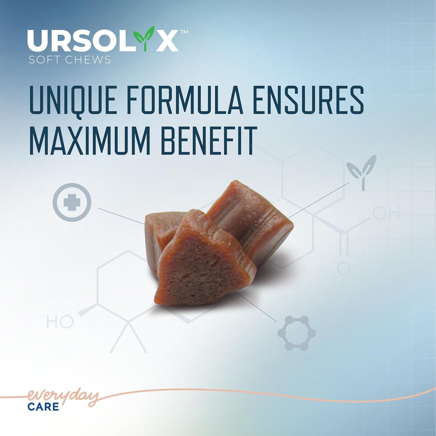 URSOLYXTM Soft Chews for Cats | Muscle Health Support for Senior, Active or Recovering Cats | 60 Count 2- Month Supply