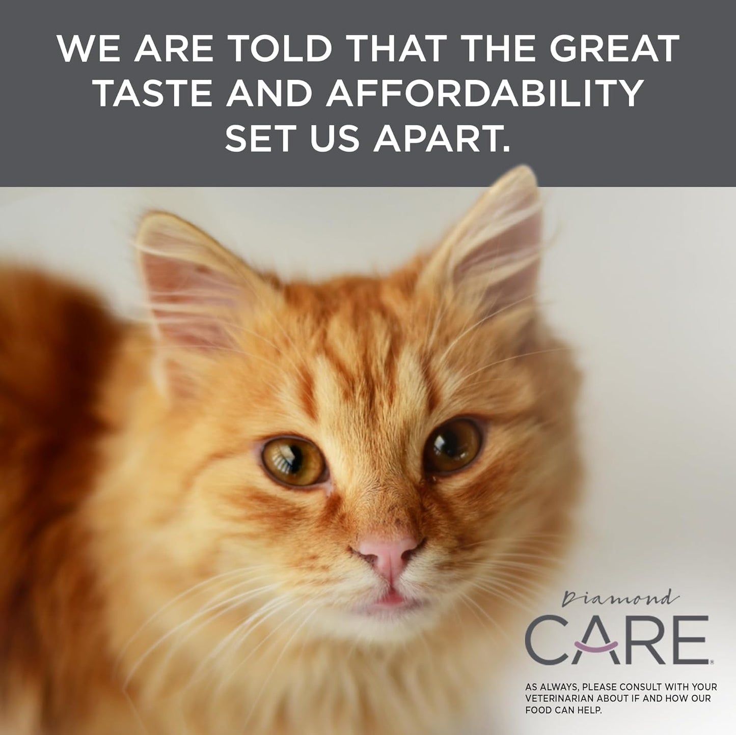 Diamond CARE Urinary Support Cat 15lb