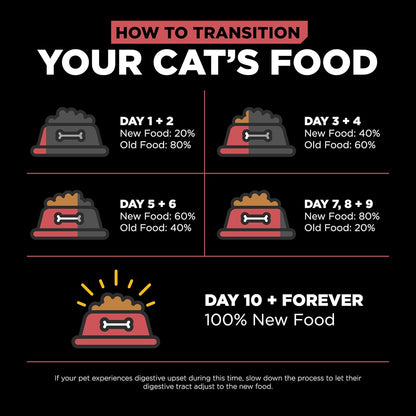 Go! Solutions Sensitivities Limited Ingredient, Grain-Free Dry Cat Food, Salmon Recipe for Sensitive Stomach, 6 lb Bag