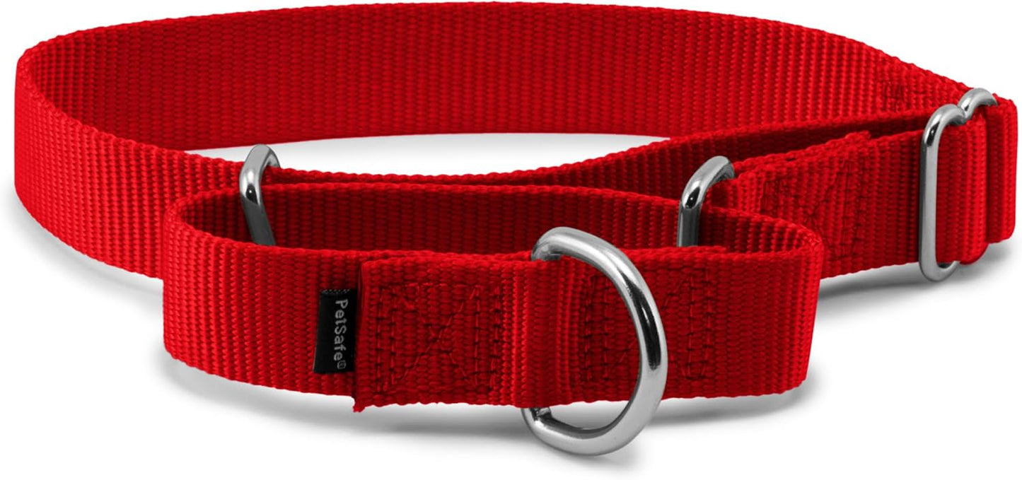 PetSafe Adjustable Martingale Collar - Only Tightens When Dogs Pull, Prevents Slipping Out - Helps with Strong Pullers, Increased Control - Alternative to Choke Collar - 1", Medium, Red
