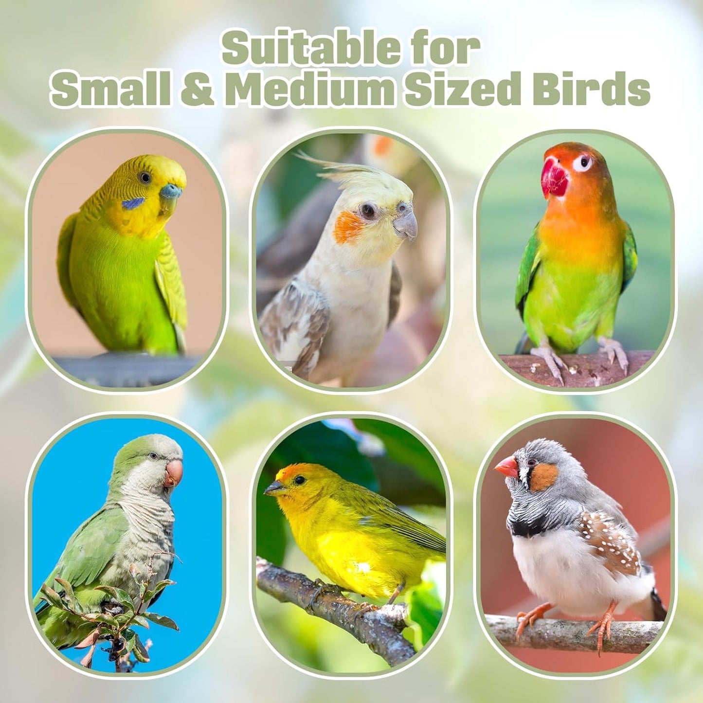 BNOSDM Wooden Bird Tunnel Parrot Swing Toys Natural Hanging Nest and Wooden Bird Foraging Toys with Enrichment Puzzle for Small and Medium Parrots, Parakeets, Cockatiels, Sun Conures