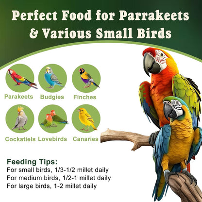 RANZ 1LBS Spray Millet Treat for Pet Birds, Hand-Harvested Bird Snack, Natural Sun-Dried Millet Spray for Parakeets, Parrots, Cockatiels, Lovebirds, Budgies, Finches, Canaries