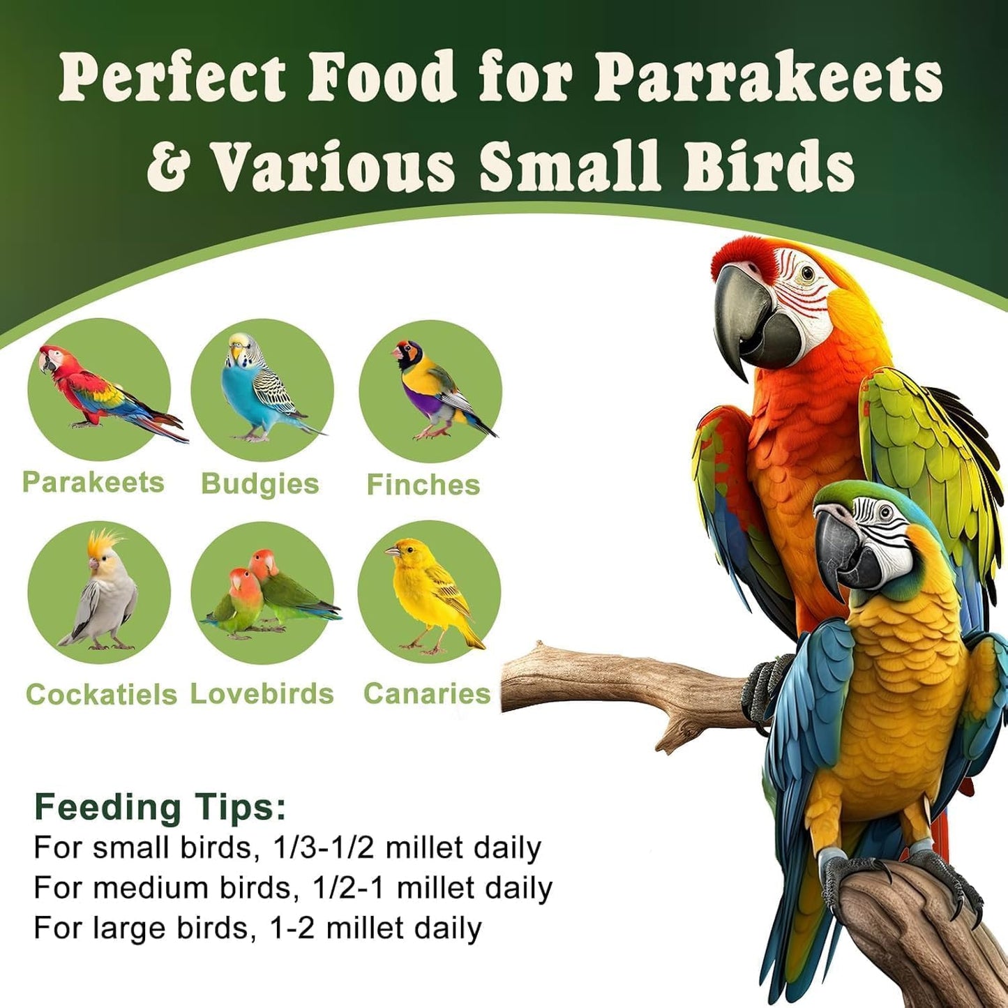 RANZ 1LBS Spray Millet Treat for Pet Birds, Hand-Harvested Bird Snack, Natural Sun-Dried Millet Spray for Parakeets, Parrots, Cockatiels, Lovebirds, Budgies, Finches, Canaries