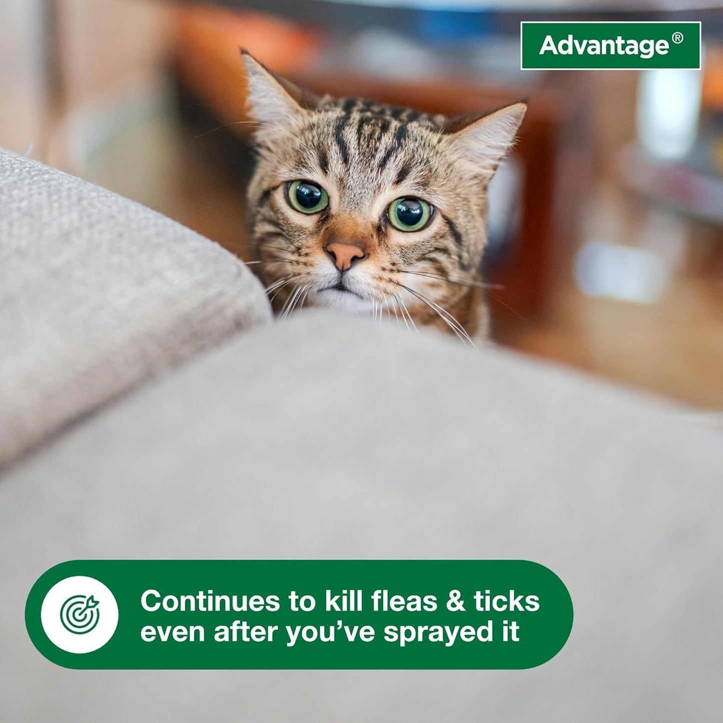 Bundle of Advantage II Vet-Recommended Flea Treatment & Prevention | Cats 5-9 lbs. + Advantage Household Spot & Crevice Spray 24 oz.