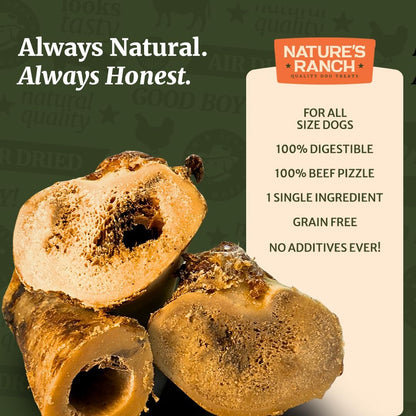 Nature's Ranch Premium Marrow Bones for Dogs – 6–7 Inch, 3 Pack, 100% Natural, Slow-Roasted, Long-Lasting Chews for Dental Health | Ideal for Medium & Large Dogs