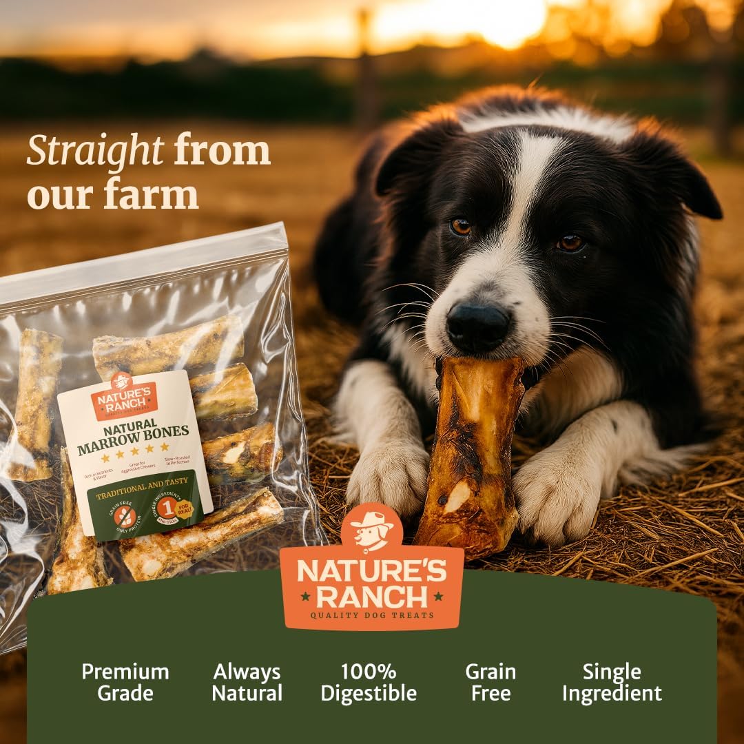 Nature's Ranch Premium Marrow Bones for Dogs – 3–4 Inch, 6 Pack, 100% Natural, Slow-Roasted, Long-Lasting Chews for Dental Health | Ideal for Small & Medium Dogs