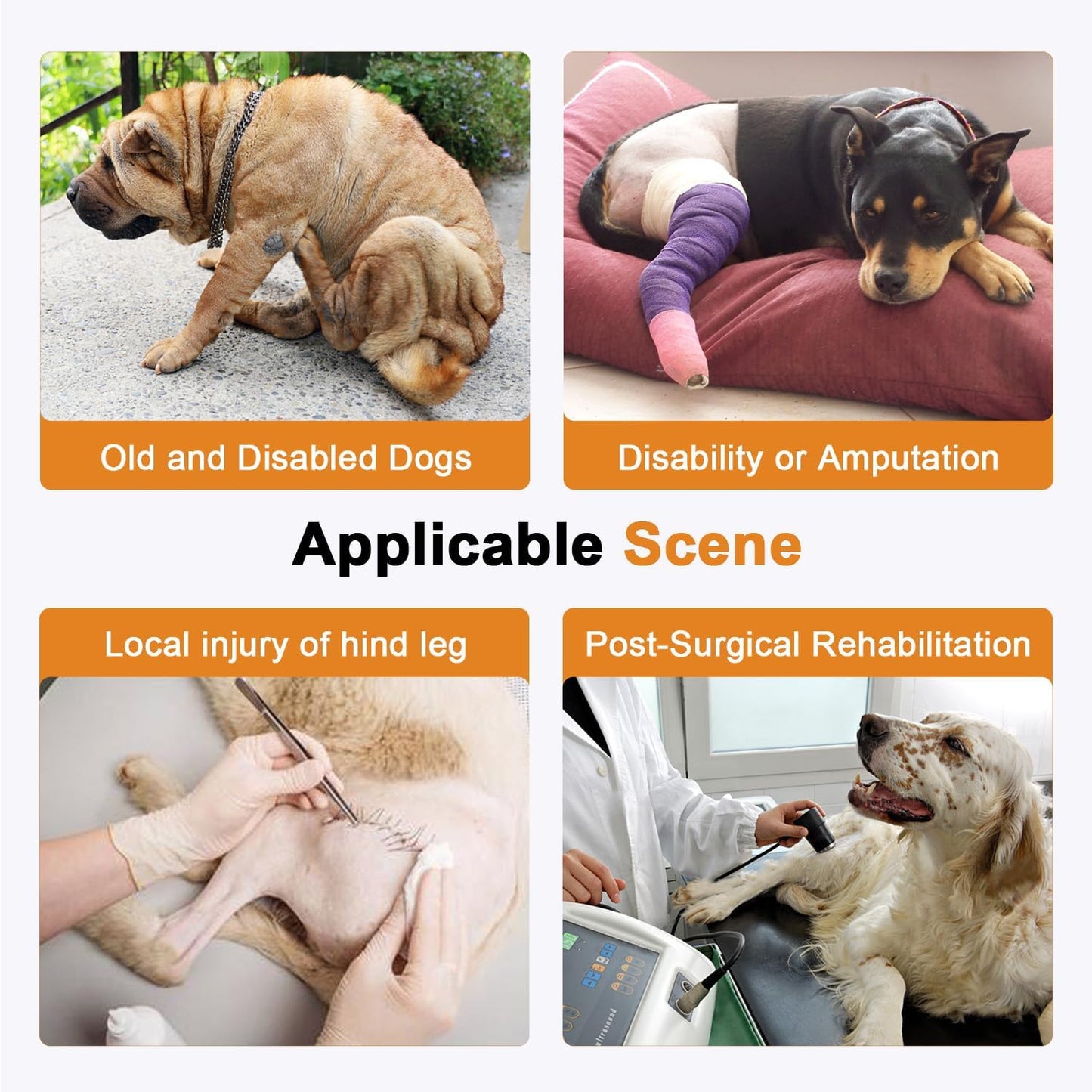 COODEO Professional Dog Sling for Hind Leg Support - Aid for Post-ACL/TPLO Surgery & Senior Dogs, Secure,Breathable & Machine-Washable with Reflective Edging for Safe Walks (Black, M)