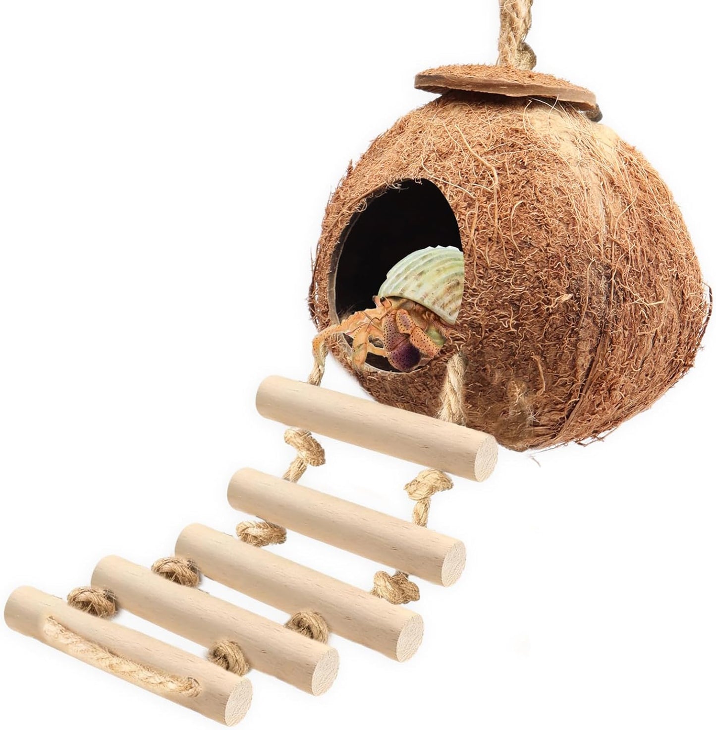 Gecko Tank Accessories Natural Coconut Shell Hut with Climbing Ladder & Suction Cup Hermit Crab Toys Reptile Hideout for Leopard Gecko Snake Lizard and Small Pets Habitat Decor