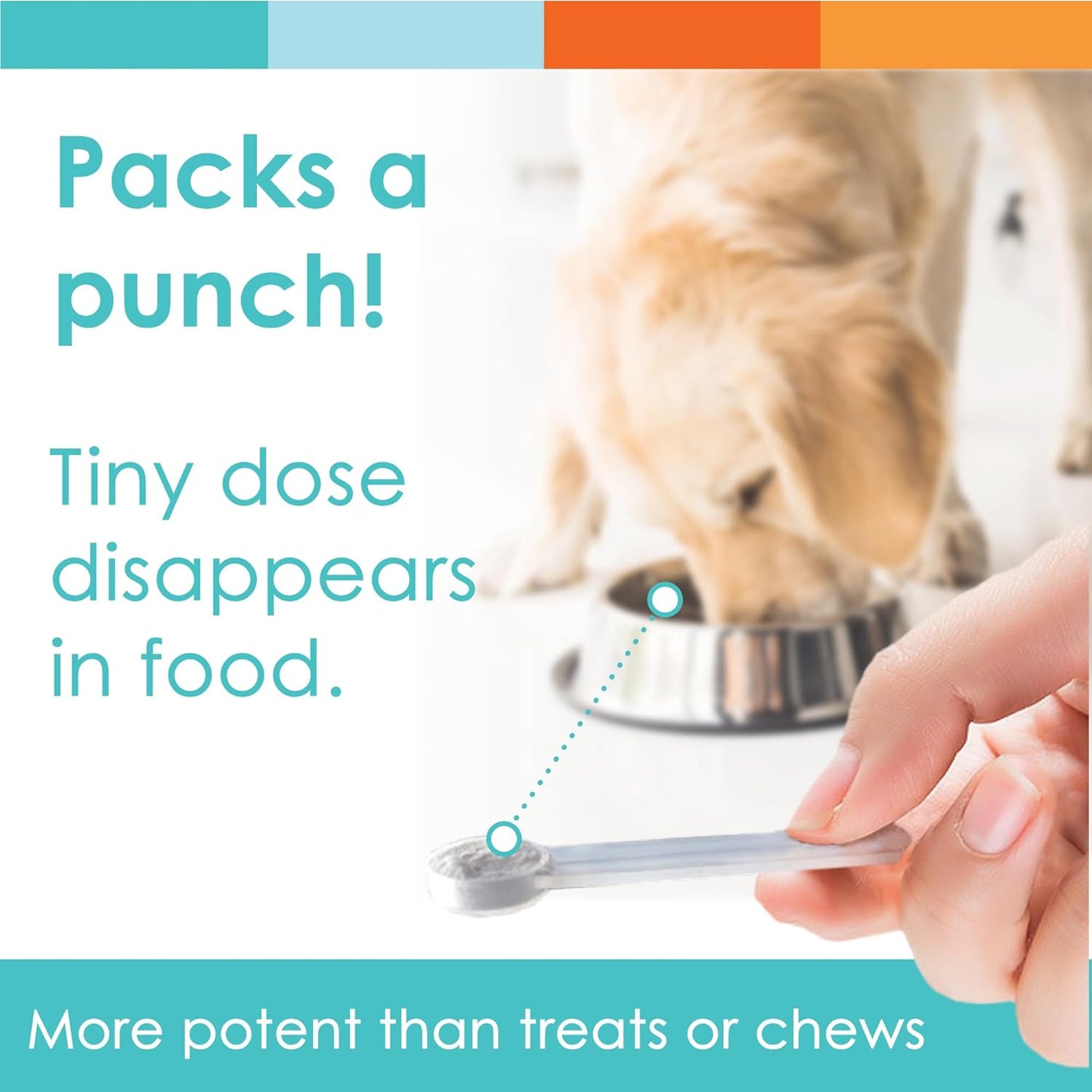 NUSENTIA UTRIN - Urinary Support for Cats & Dogs - Dual-Action Cranberry & D-Mannose - for Natural Bladder Health, Incontinence, and Recurring UTI, 60 Servings