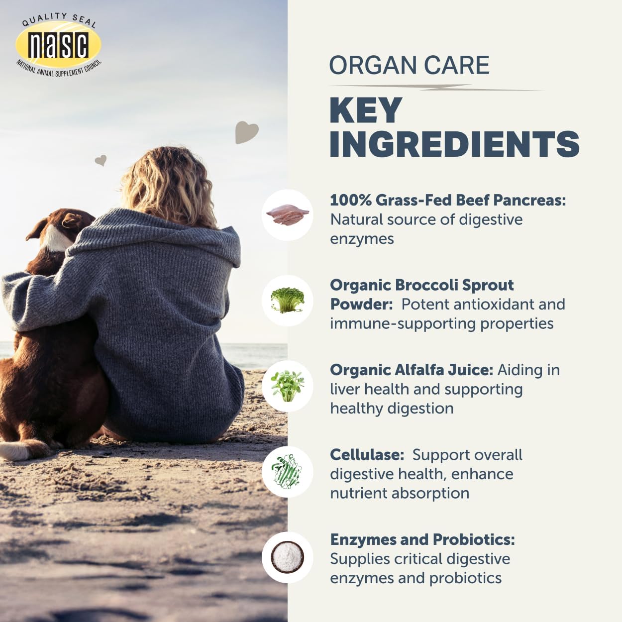Four Leaf Rover Organ Care - Dog Digestive Support with Digestive Enzymes and Probiotics - Supports a Healthy Liver - Veterinarian Formulated - 30 Day Medium Dog Supply