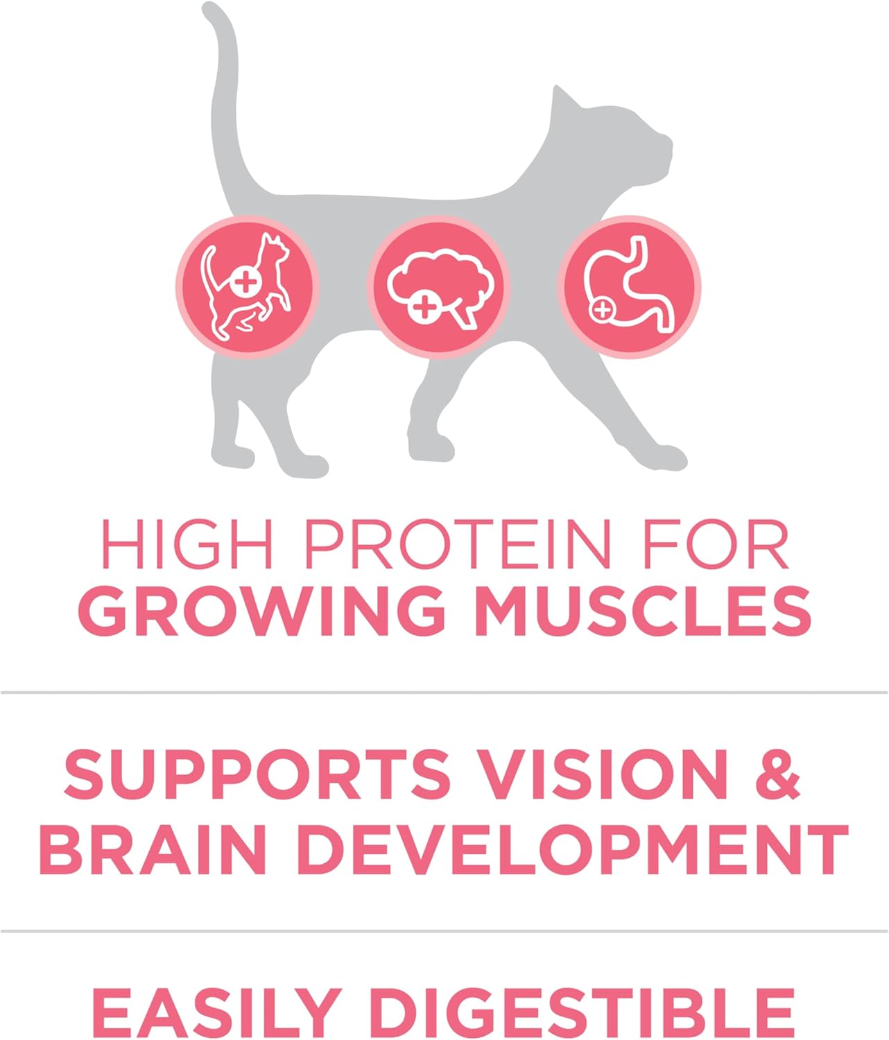 Purina ONE High Protein, Natural Dry Kitten Food, +Plus Healthy Kitten Formula - 16 lb. Bag